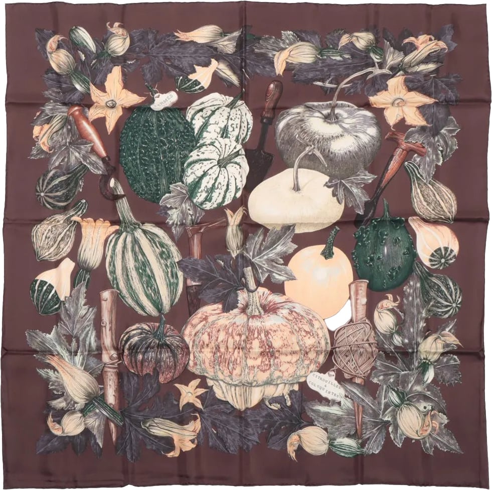 Hermès Hermès Carré 90 "CITROUILLES&COLOQU INTES" Silk handkerchief in Brown Bruin