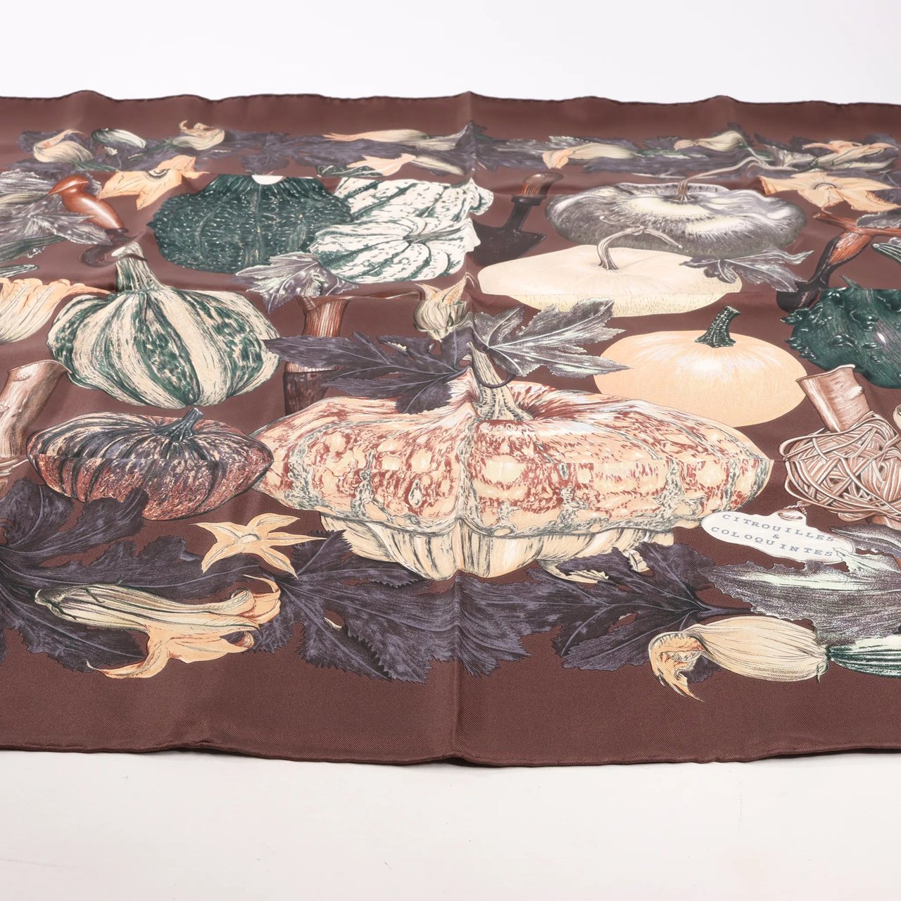 Hermès Hermès Carré 90 "CITROUILLES&COLOQU INTES" Silk handkerchief in Brown Bruin
