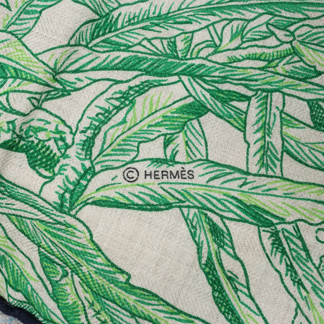 Hermès Hermès Carré Geant "BOTANICO DI PALERMO" Cashmere and Silk Scarf in Green Groen