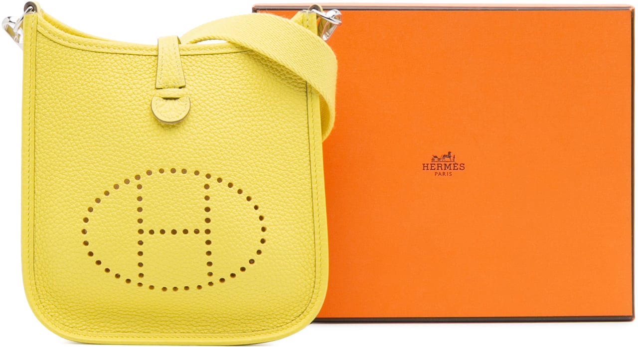 Hermès Clemence Evelyne TPM Geel