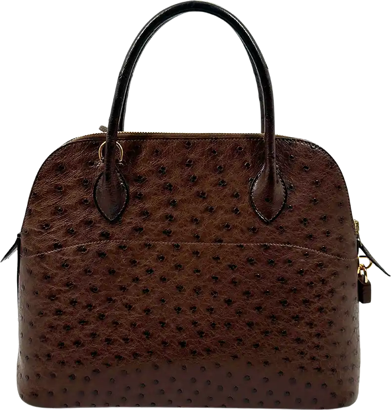 Hermès Hermès Bolide 31 ostrich leather brown / very good Bruin