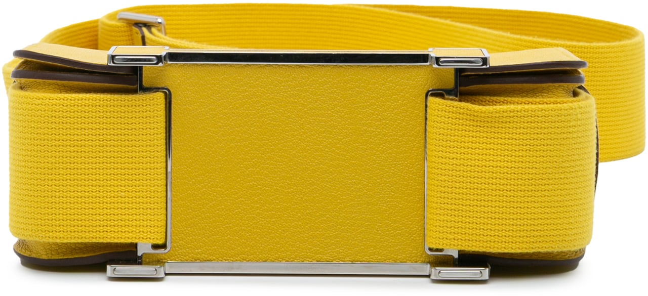 Hermès Chevre Mysore Geta Geel