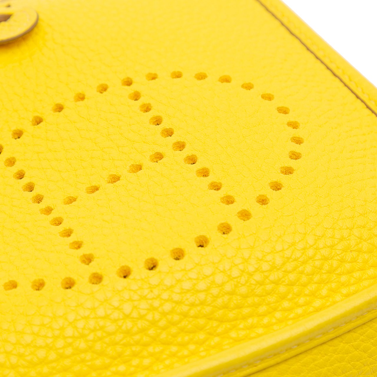 Hermès Clemence Evelyne TPM Geel