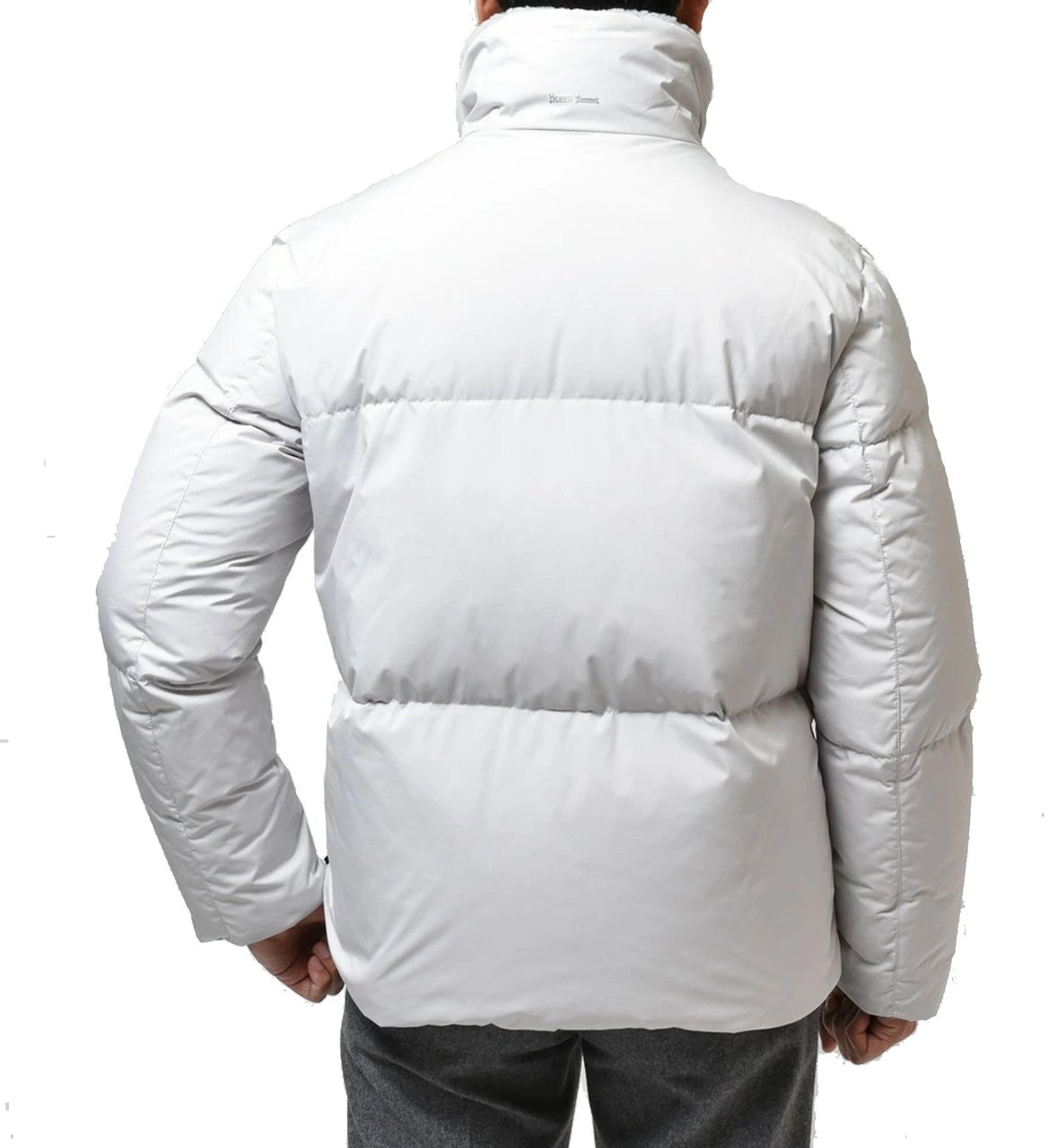 HERNO Down Jacket Grijs
