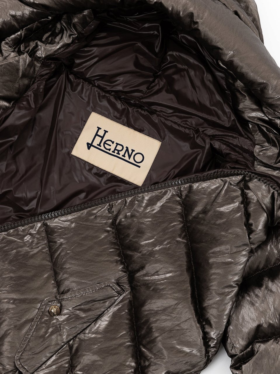 Herno Jackets Silver Divers