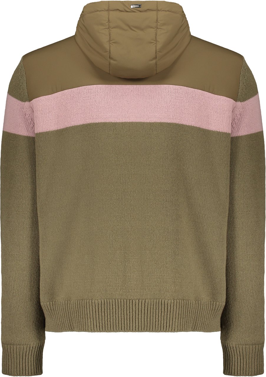 Herno Wool jacket with hood Groen