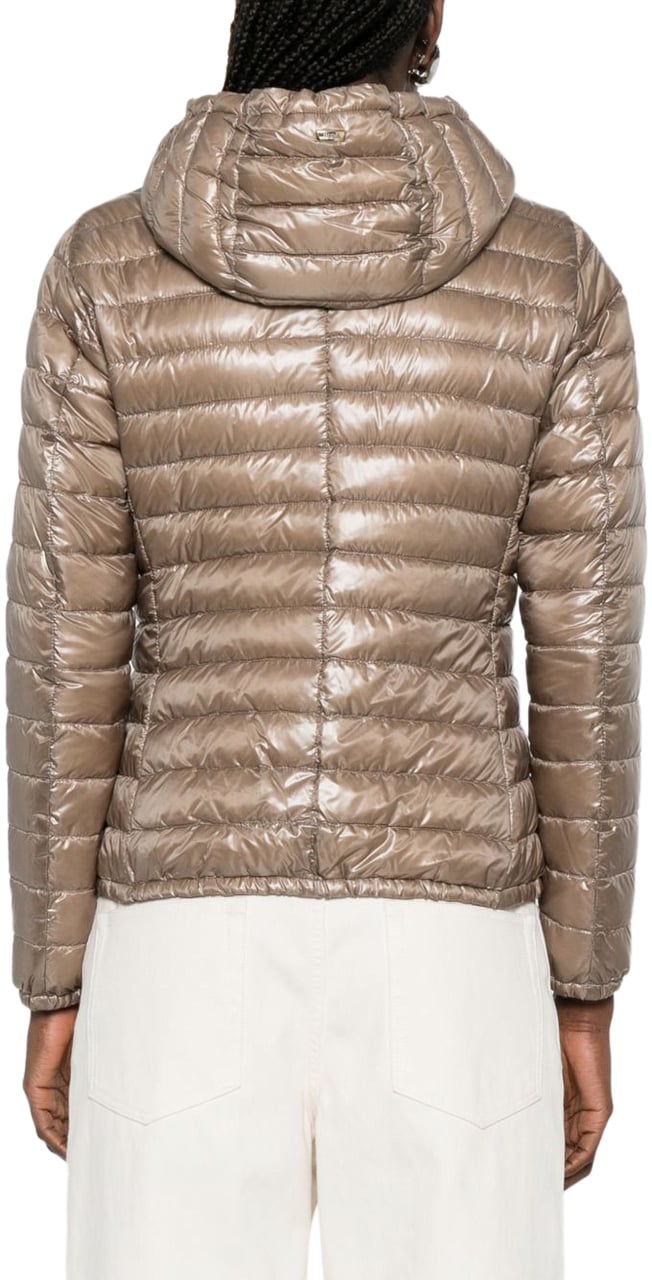 Herno Coats Dove Grey Grijs