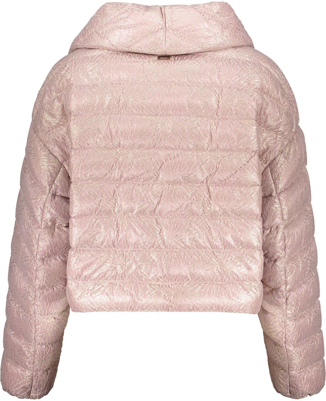 Herno Cropped padded jacket pink Paars