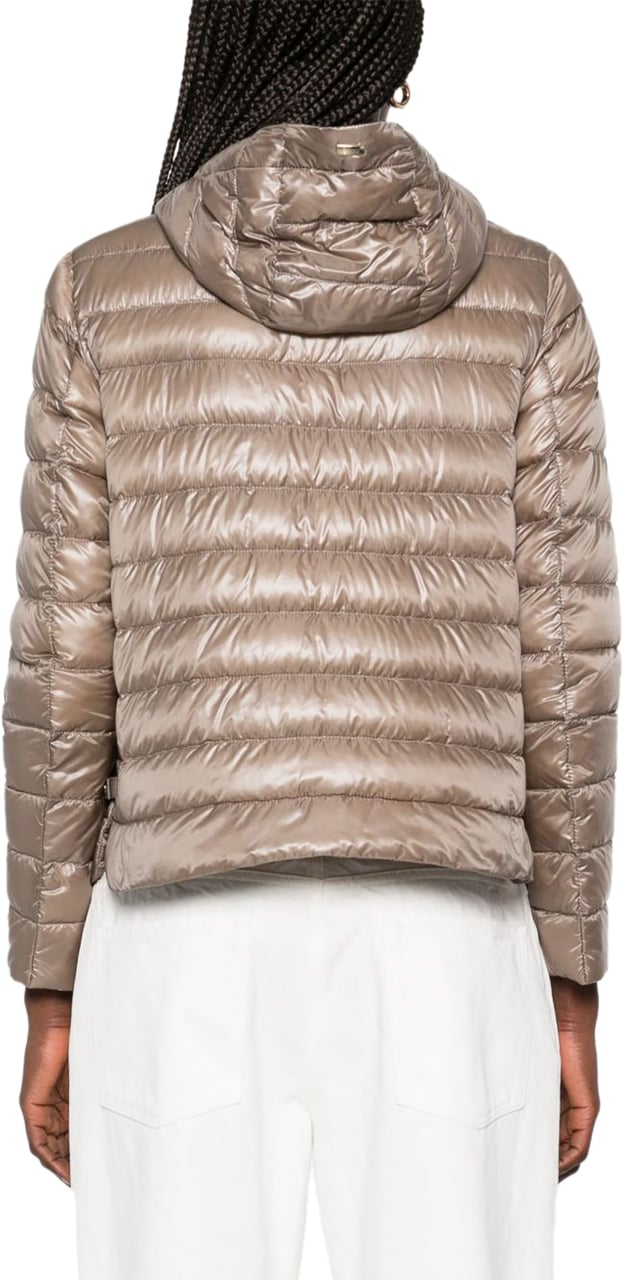 Herno Coats Dove Grey Grijs