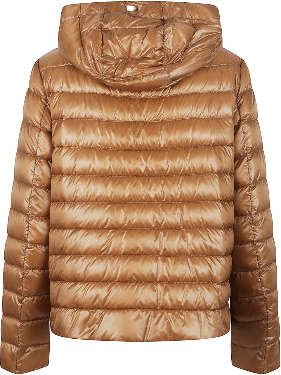 HERNO PADDED JACKET Maroon