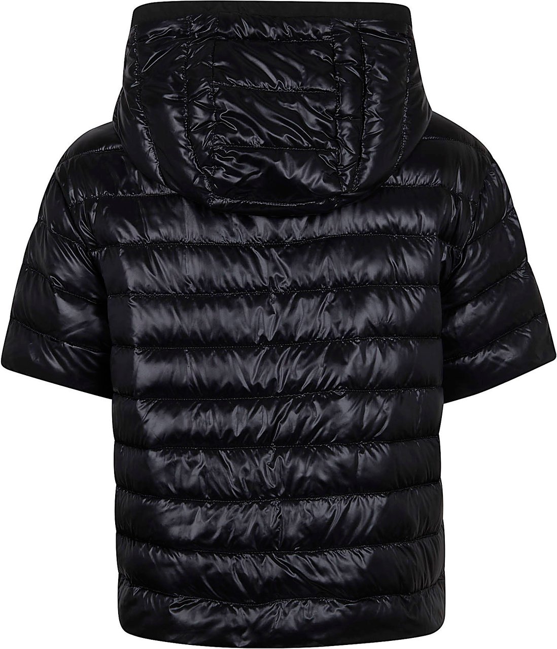 Herno HERNO PI002222D.12017Z Zwart