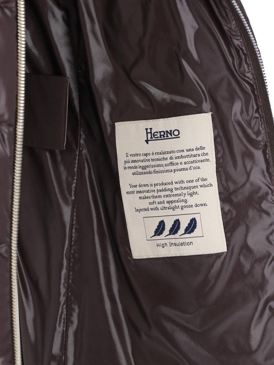 Herno Brown Claudia Waterproof Down Jacket Bruin