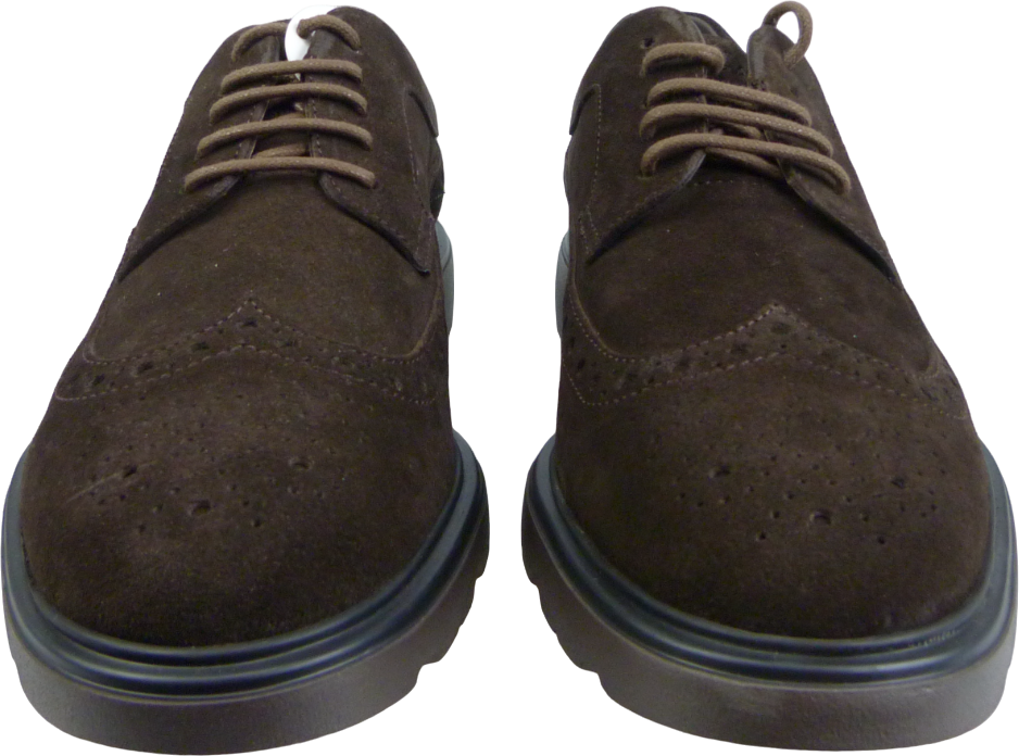 HOGAN Scarpa Derby Marrone H393 Bruin