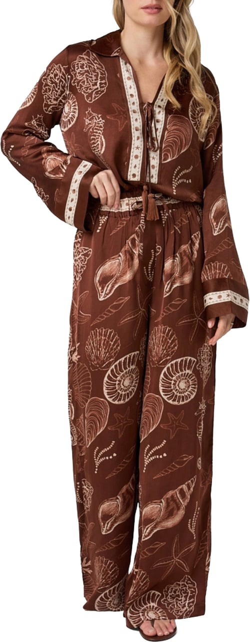 Ibana Piero Shell Pantalons Donkerbruin 302620155 Bruin