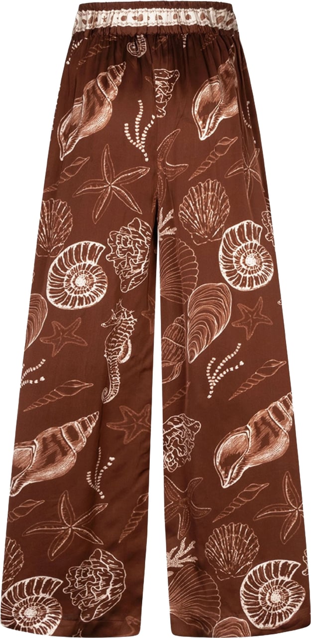 Ibana Piero Shell Pantalons Donkerbruin 302620155 Bruin