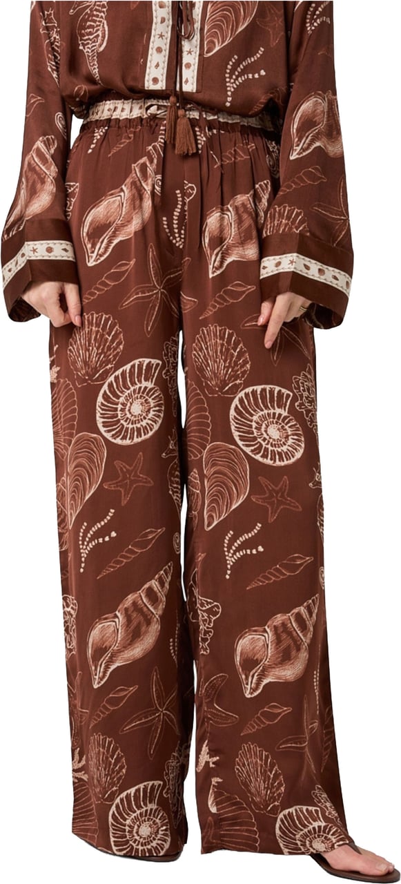Ibana Piero Shell Pantalons Donkerbruin 302620155 Bruin