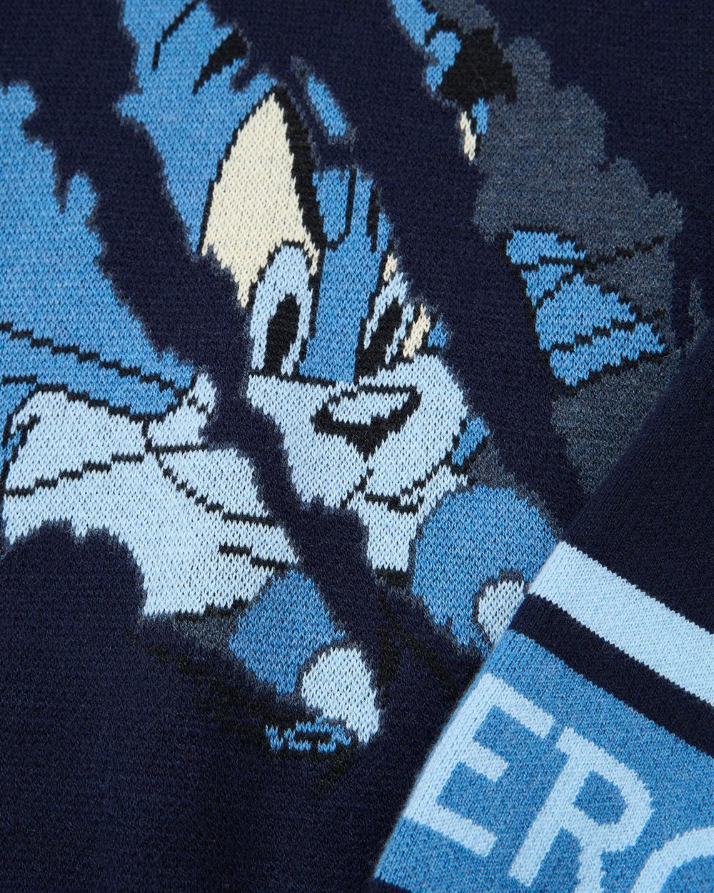 Iceberg KIDS - Blue crewneck sweater with Looney Tunes print Blauw