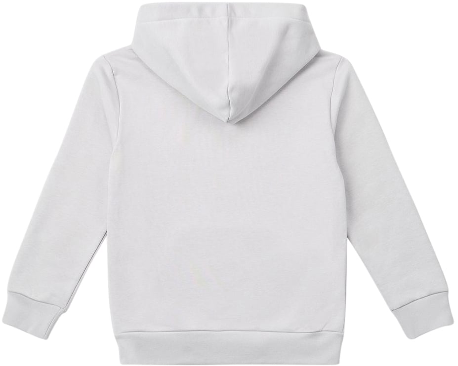 Iceberg KIDS - Iceberg hoodie with Iceberg logo Wit