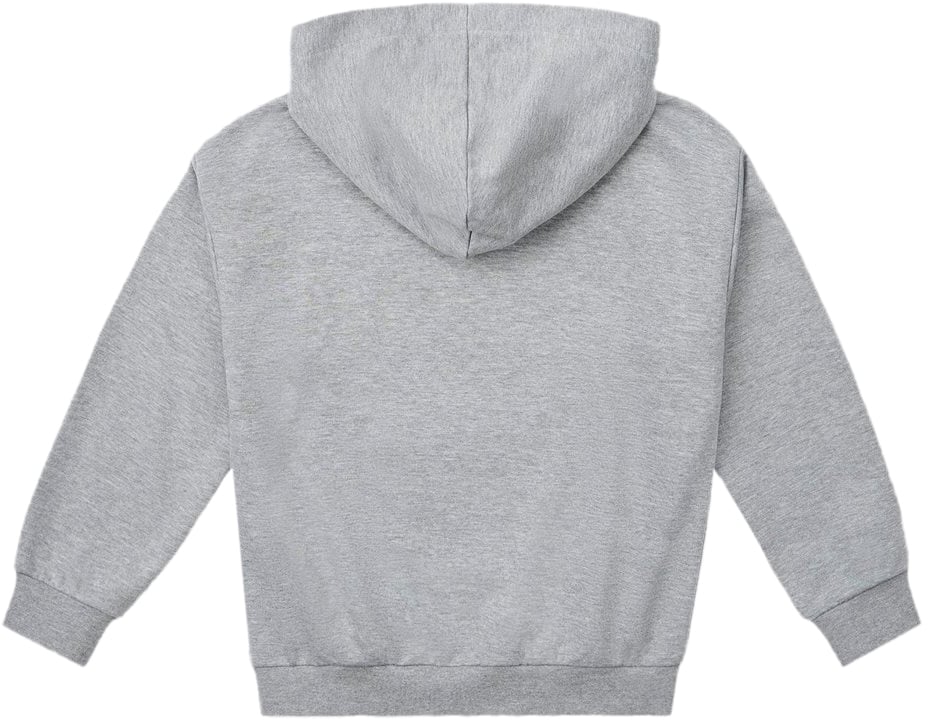 Iceberg KIDS - Junior Heather Gray Hoodie with Looney Tunes Tom Grijs