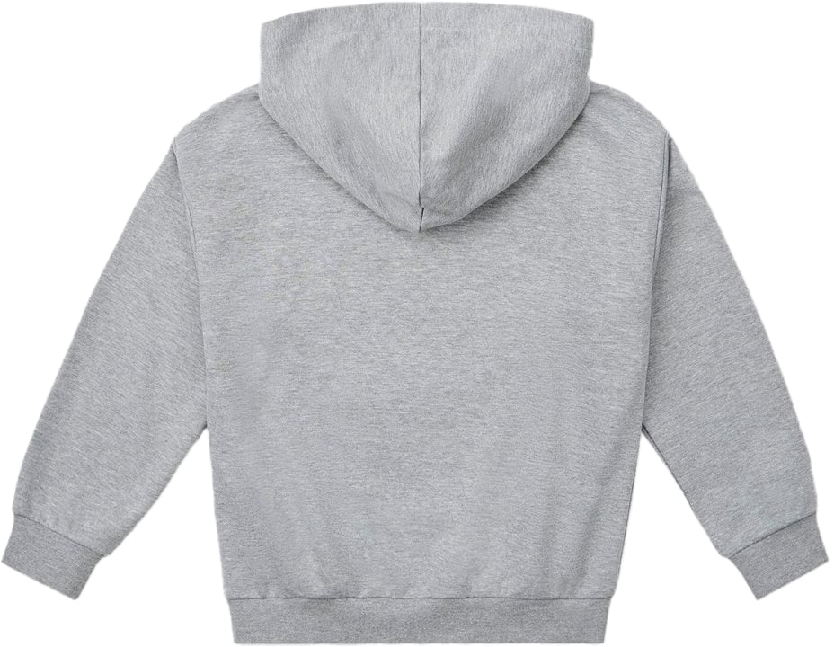 Iceberg KIDS - Junior Heather Gray Hoodie with Looney Tunes Tom Grijs