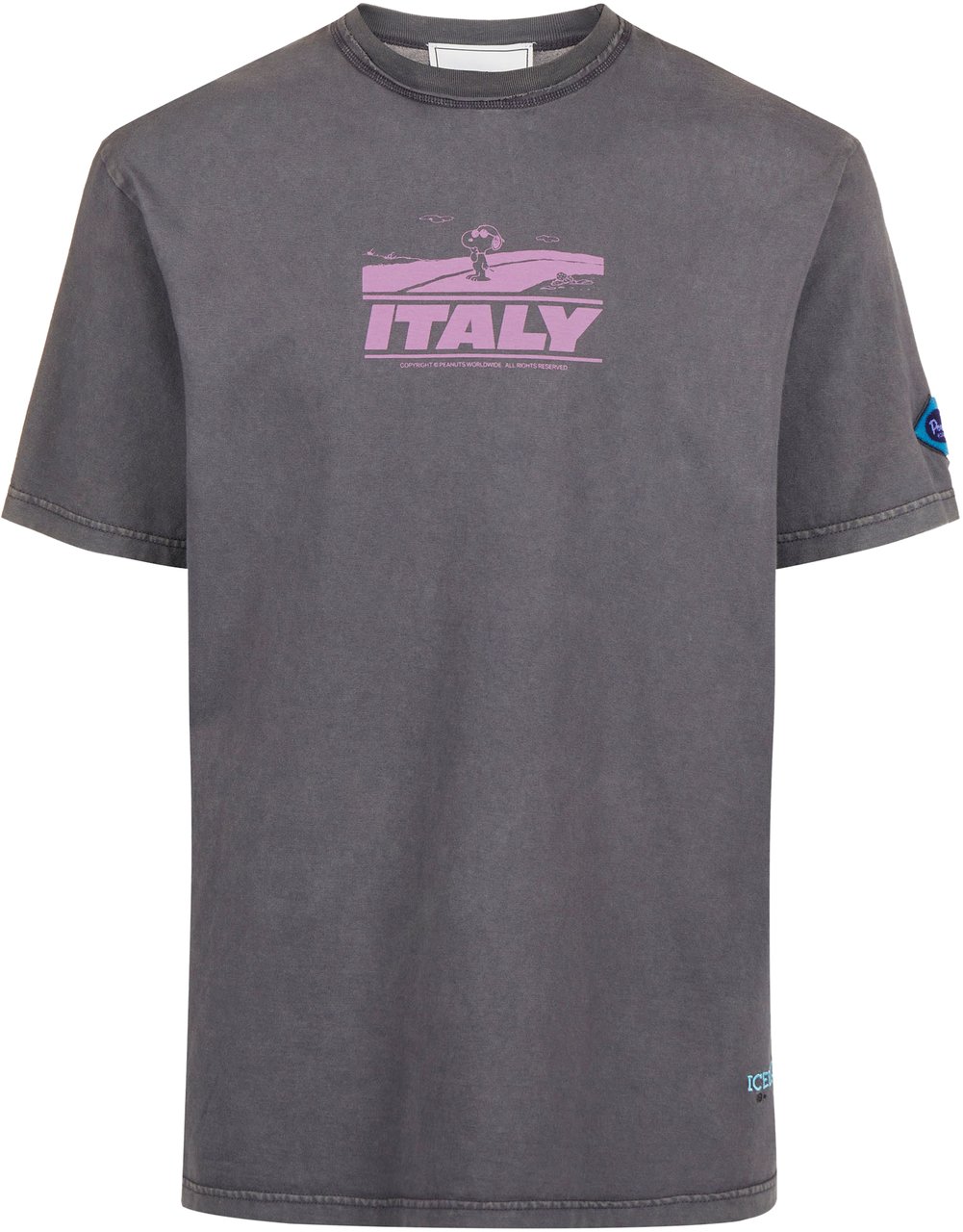 Iceberg Relaxed style, graphic attitude: the Peanuts T-shirt in dark grey Grijs