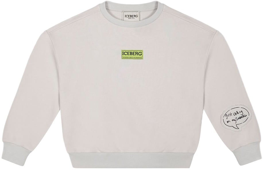 Iceberg KIDS - Light gray sweatshirt for boys with graphic detail Grijs