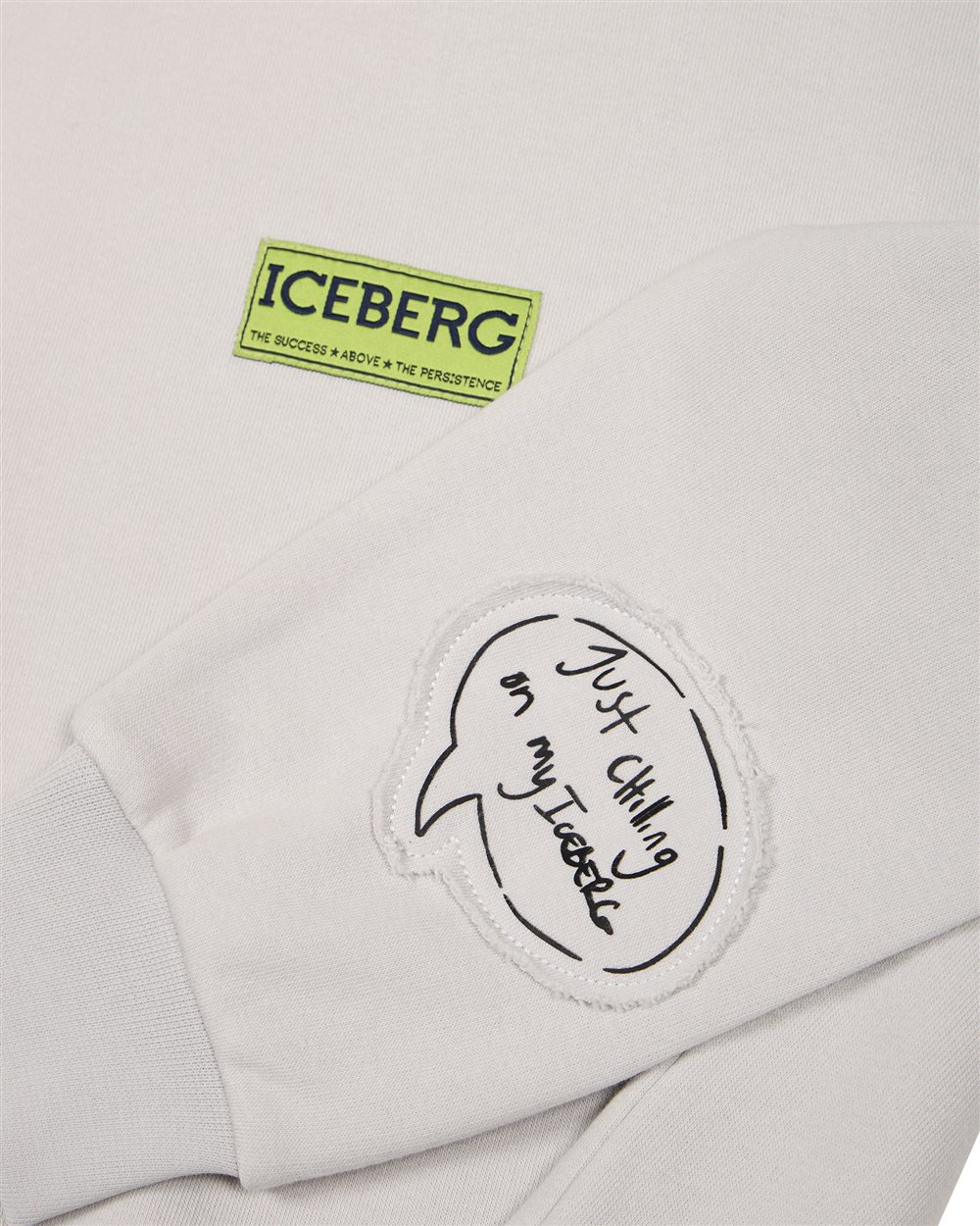 Iceberg KIDS - Light gray sweatshirt for boys with graphic detail Grijs