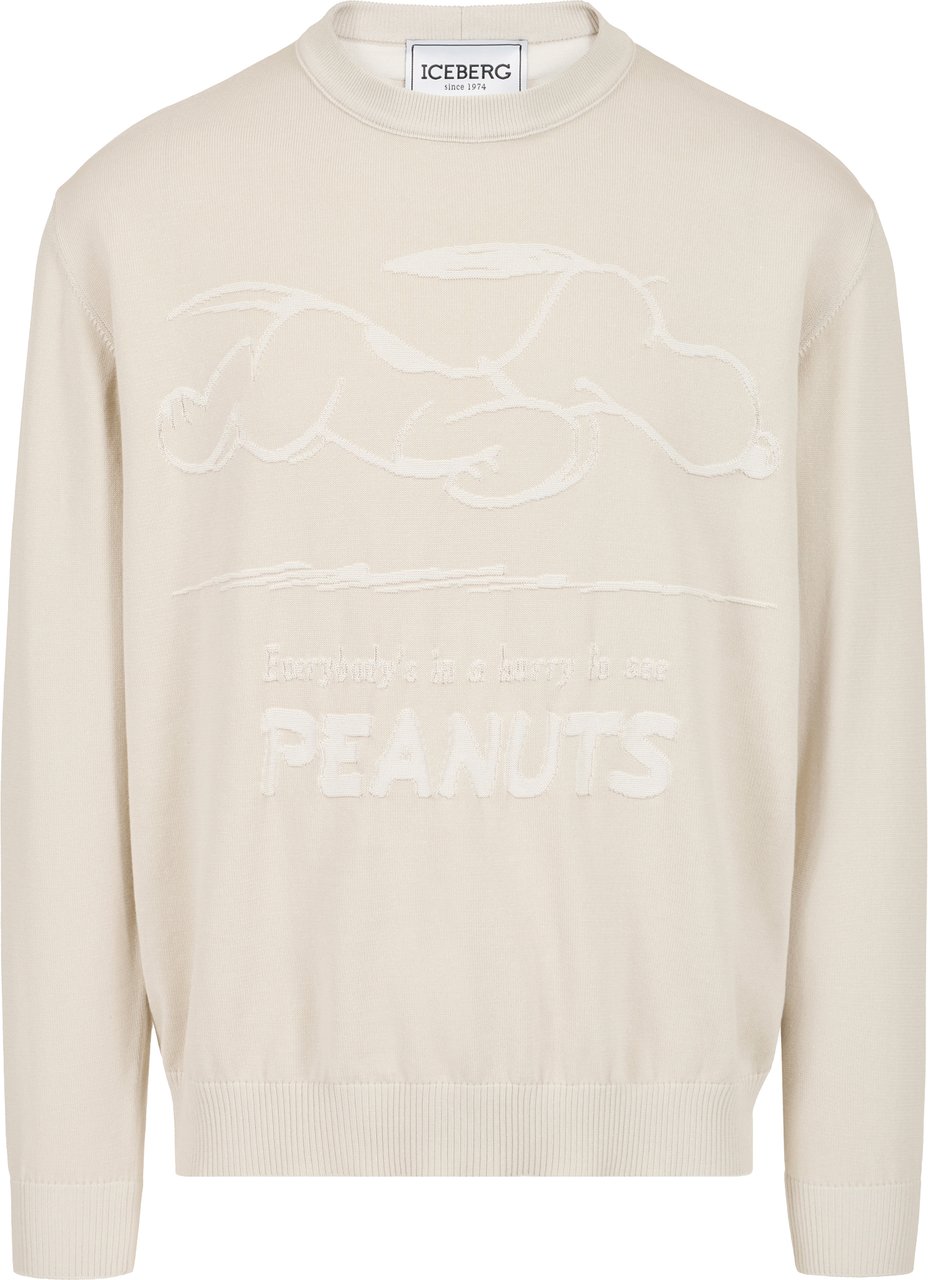 Iceberg Ice-gray cotton crew neck sweater with a Peanuts design Divers
