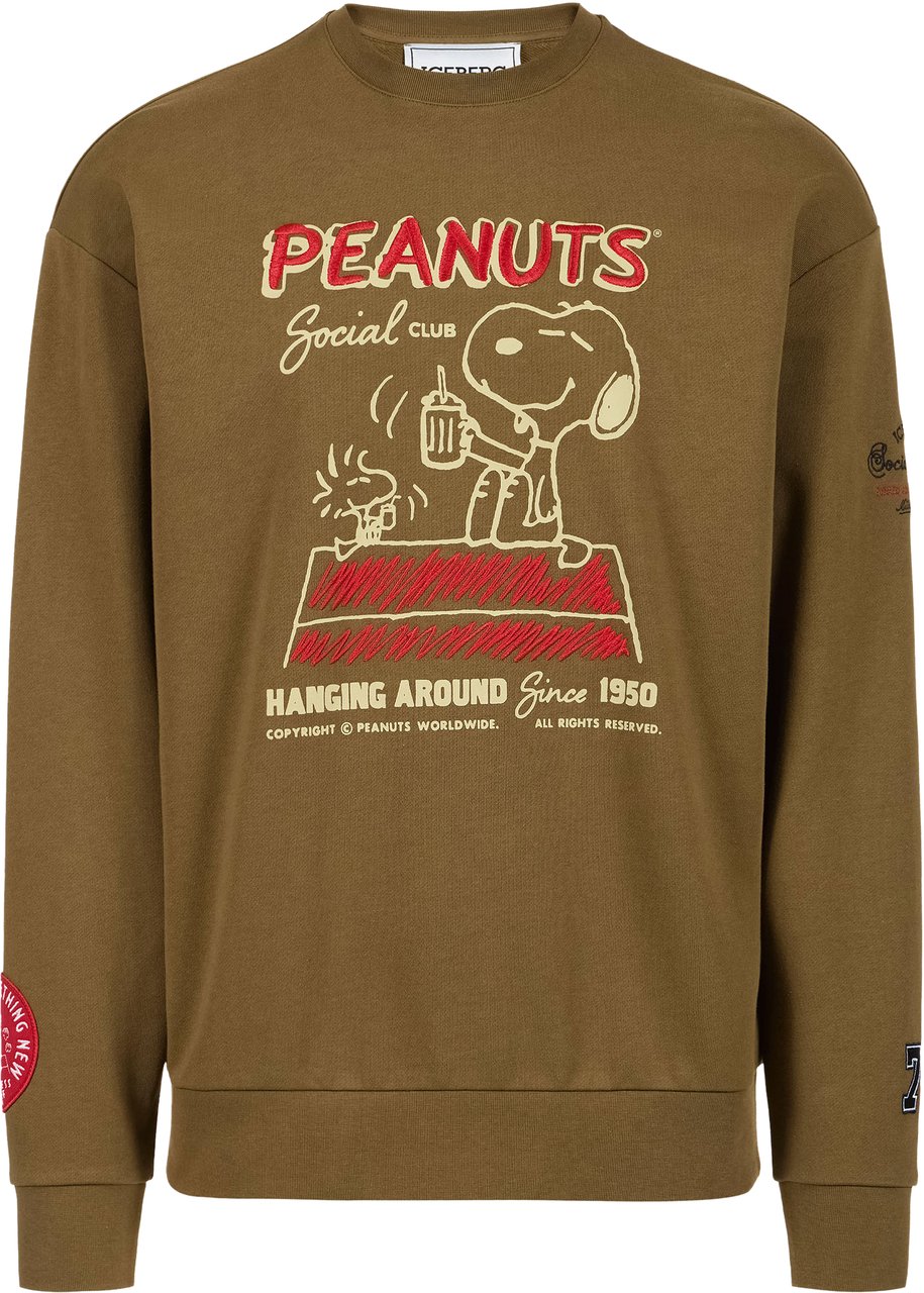 Iceberg Regular fit khaki crew neck sweatshirt crafted from cotton, adorned with the Dino print Groen