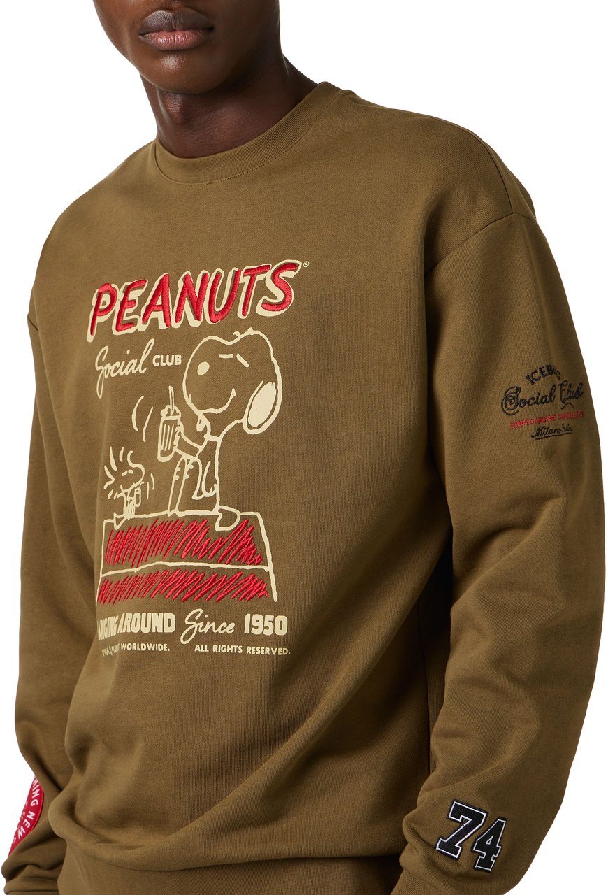 Iceberg Regular fit khaki crew neck sweatshirt crafted from cotton, adorned with the Dino print Groen