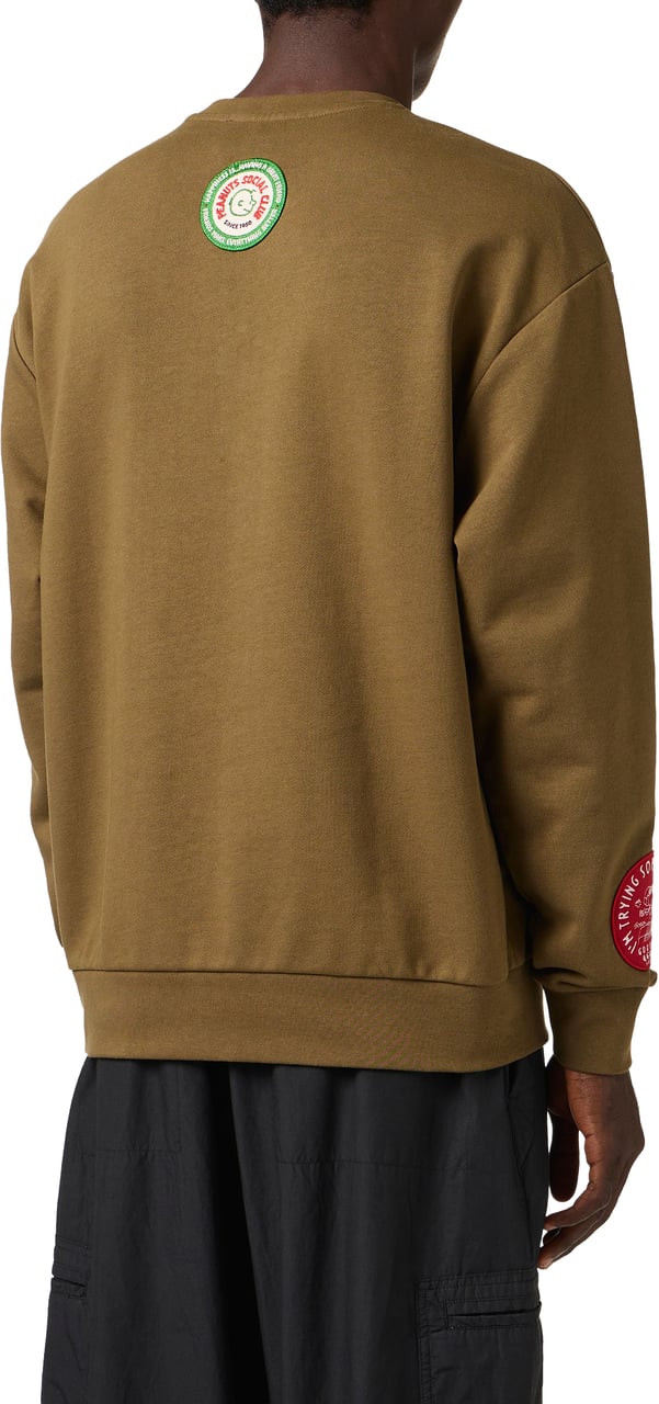 Iceberg Regular fit khaki crew neck sweatshirt crafted from cotton, adorned with the Dino print Groen