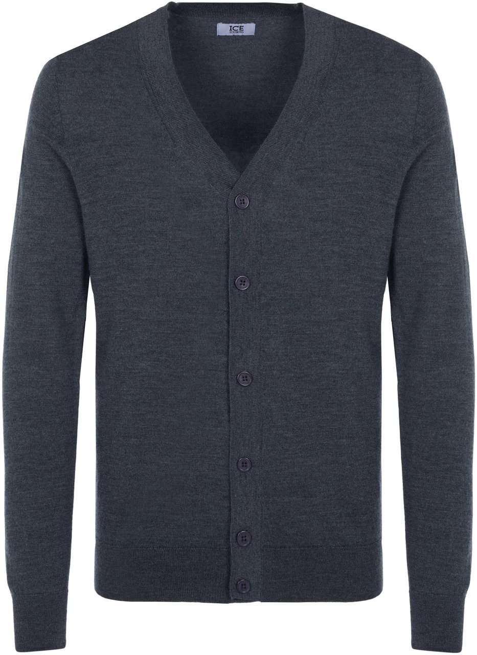 Iceberg Iceberg Pullover Grijs