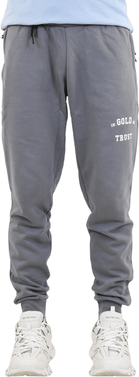In Gold We Trust Heren The Alligator Grijs