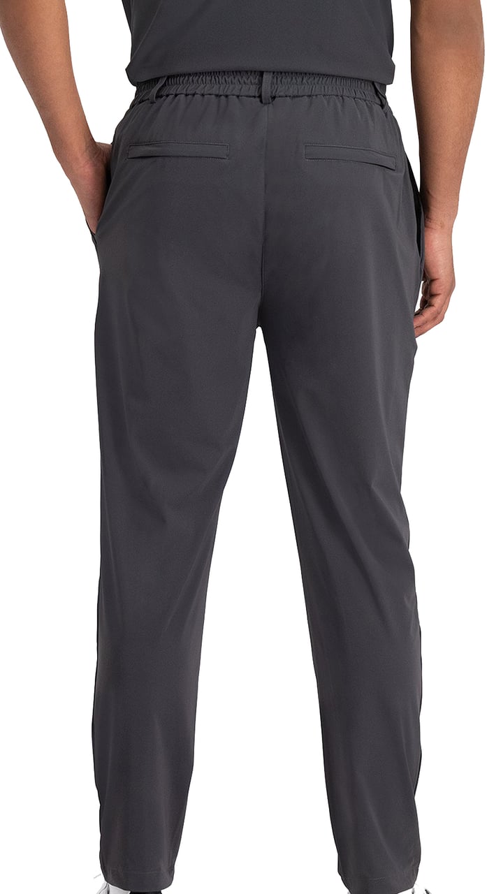 In Gold We Trust The Urbanite Pants Grey Grijs