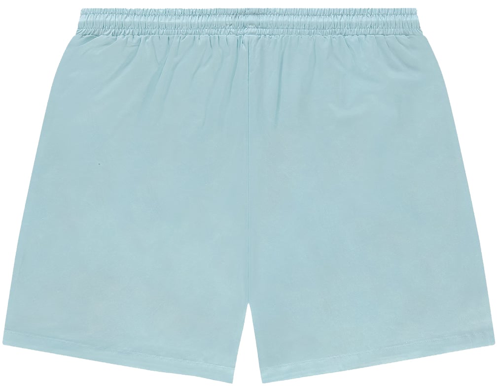 In Gold We Trust The Straight Swim Short Baby Blue Blauw