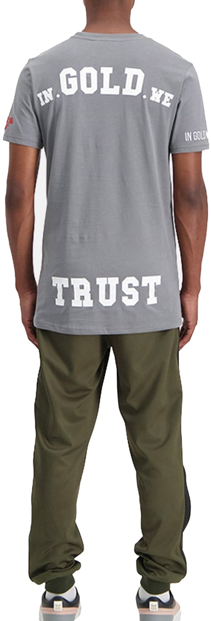 In Gold We Trust The Pusha Quiet Shade Grijs