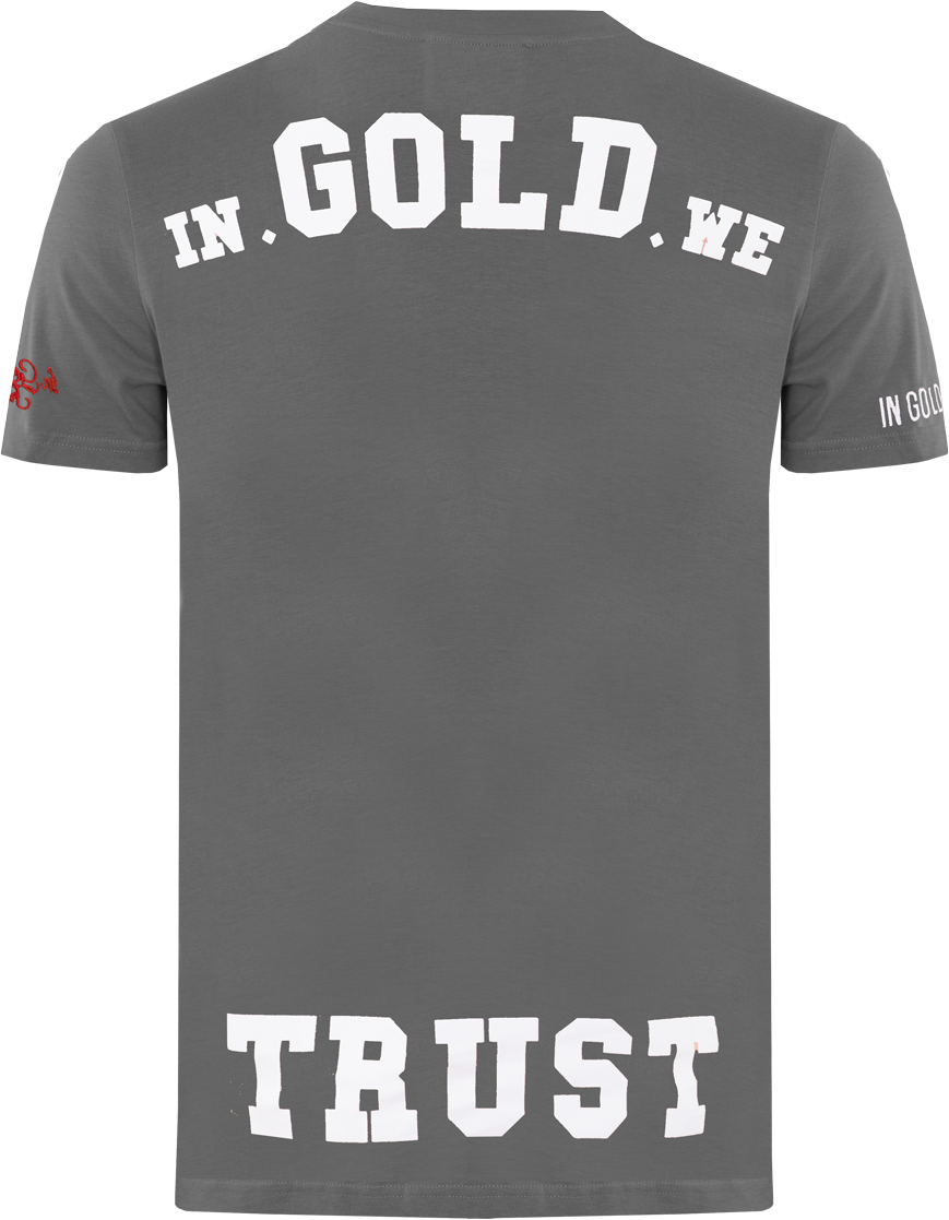 In Gold We Trust Heren The Pusha T-Shirt Grijs Grijs