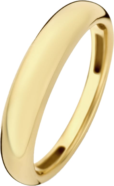 Isabel Bernard Rivoli Maryn Ring Goud