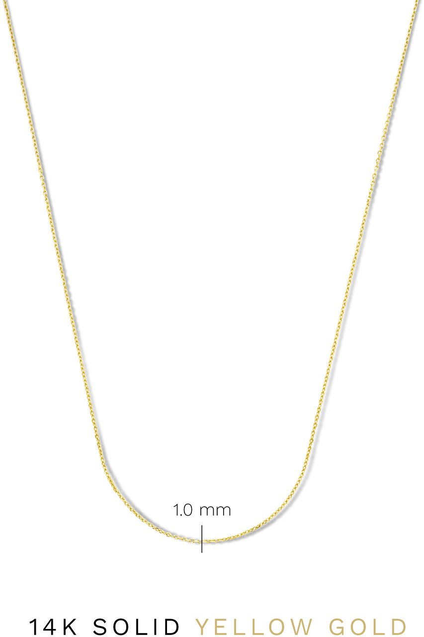 Isabel Bernard Nicole Ketting Goud