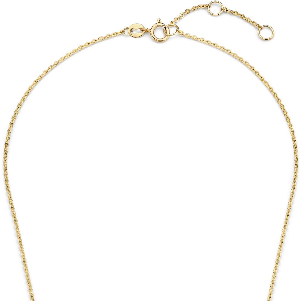 Isabel Bernard Le Marais Enlace - Ketting - Goud Goud