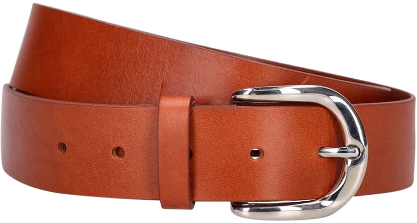 Isabel Marant Zaph Leather Belt Bruin