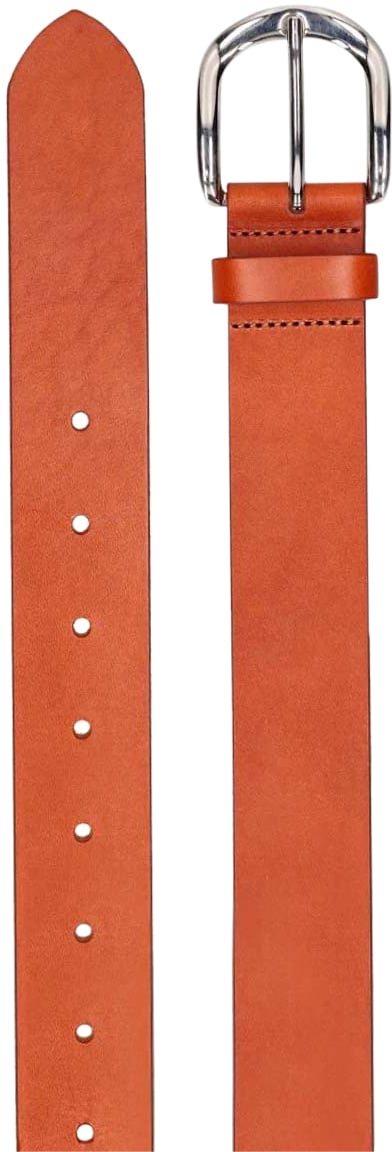 Isabel Marant Zaph Leather Belt Bruin