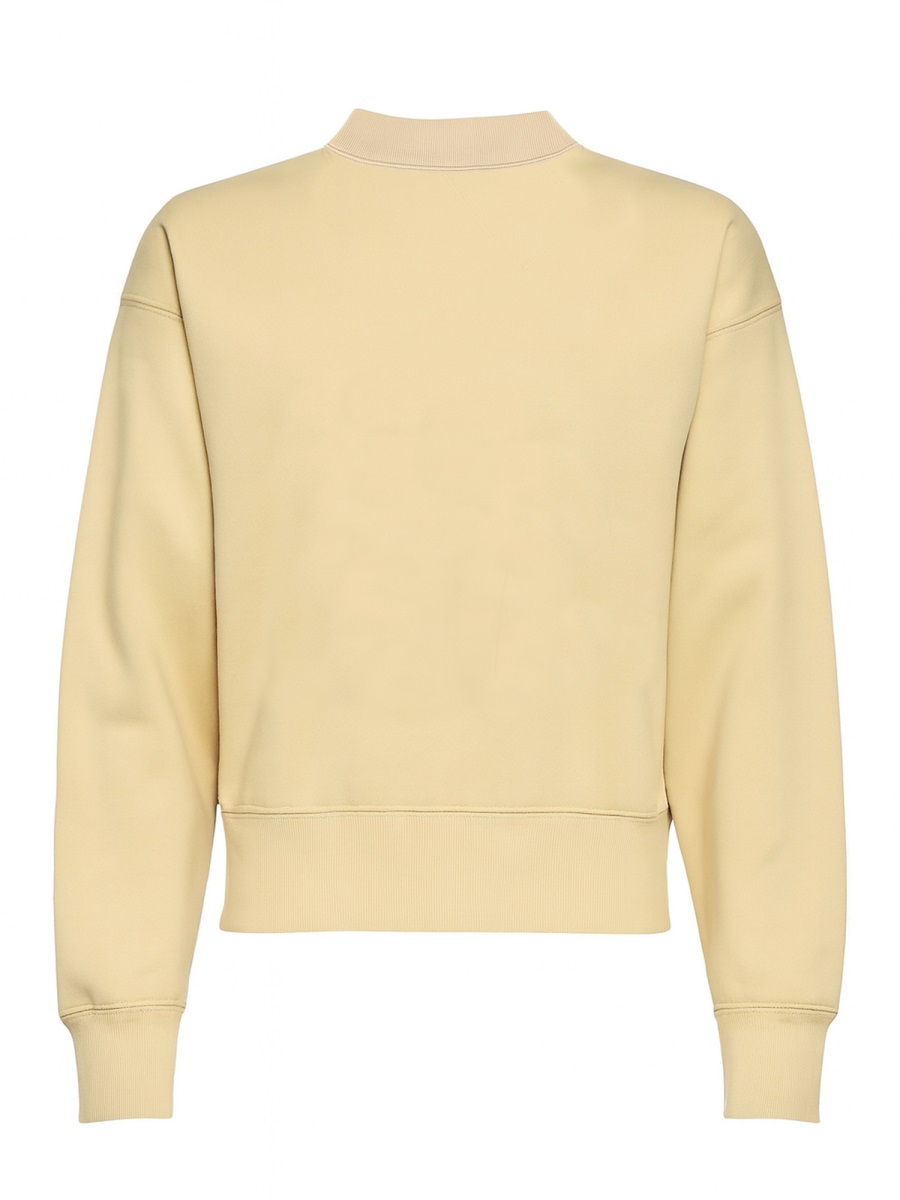 Isabel Marant Moby Cotton Blend High Sweatshirt Neutraal