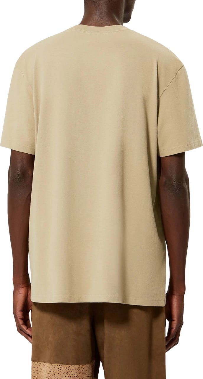 Isabel Marant T-Shirts And Polos Brown Beige