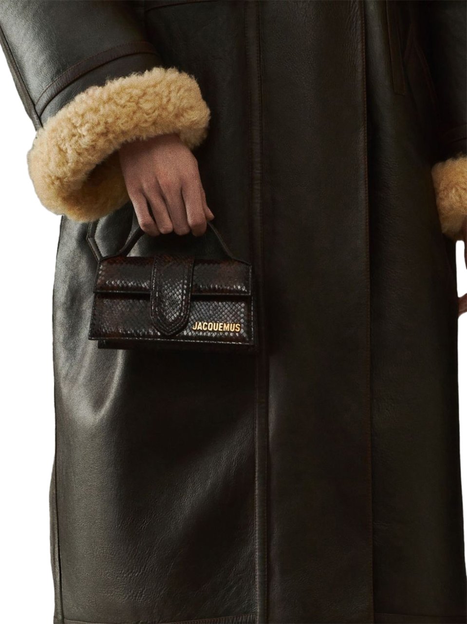Jacquemus Bags Brown Bruin