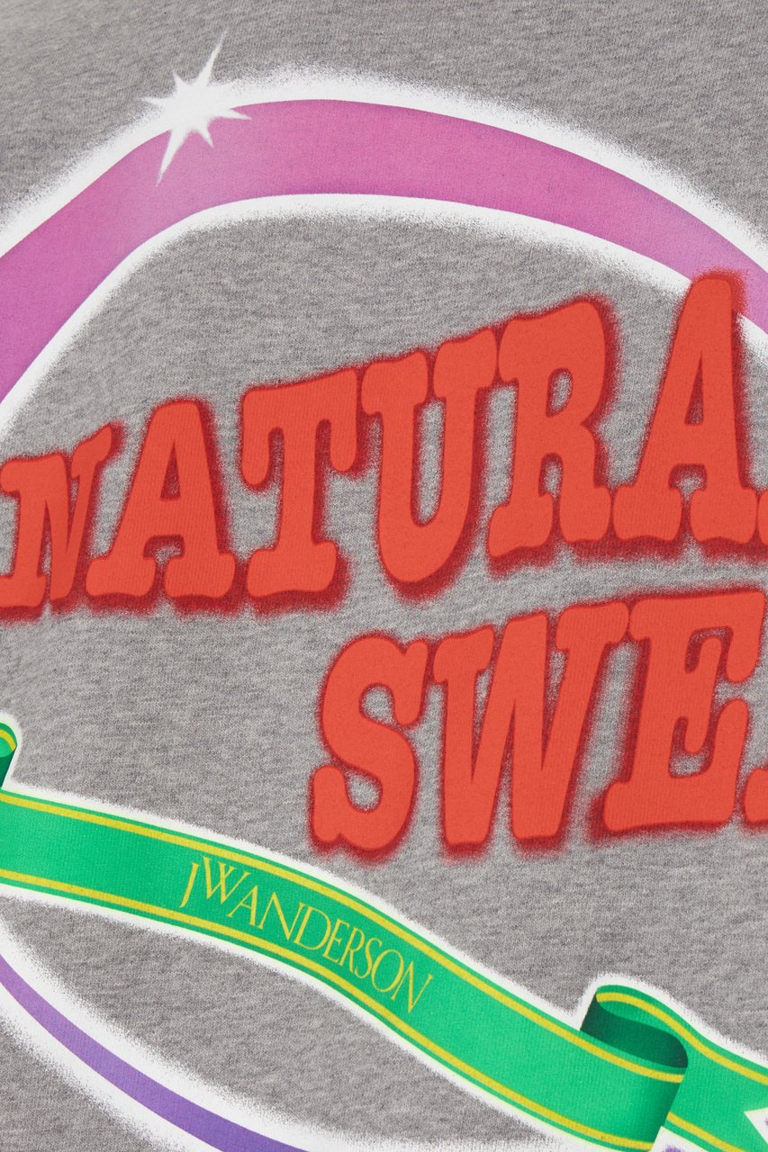 J.W. Anderson J.W. Anderson Melange grey cotton oversize sweatshirt Grijs