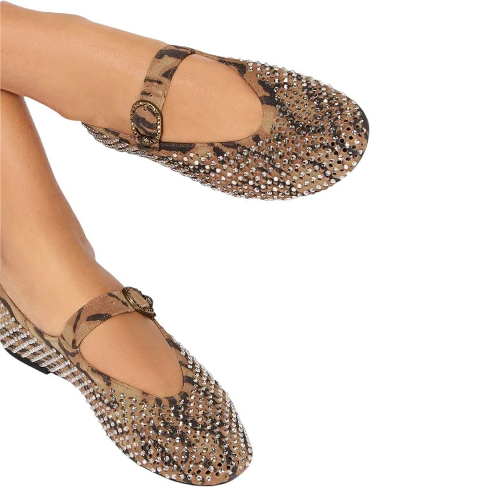 Kurt Geiger London Dames Ballerina Bruin