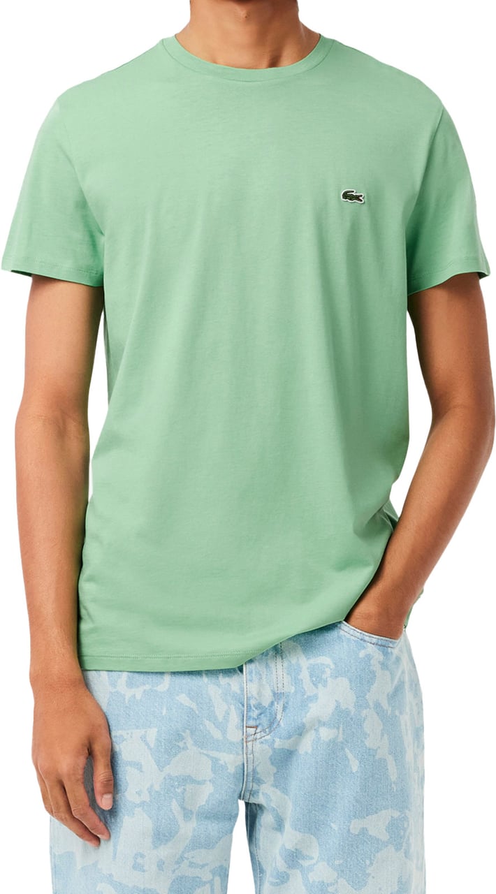 Lacoste T-Shirts And Polos Green Groen