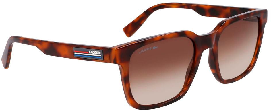 Lacoste Brown Injected Sunglasses Bruin