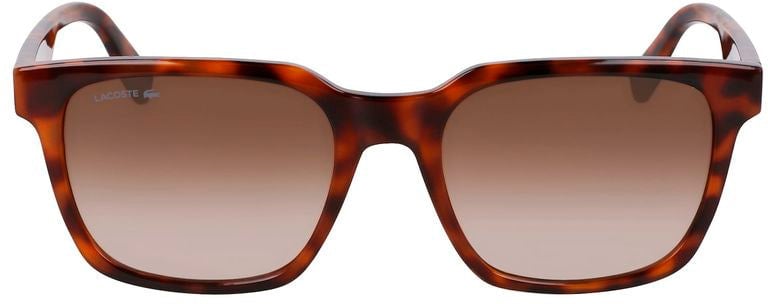 Lacoste Brown Injected Sunglasses Bruin